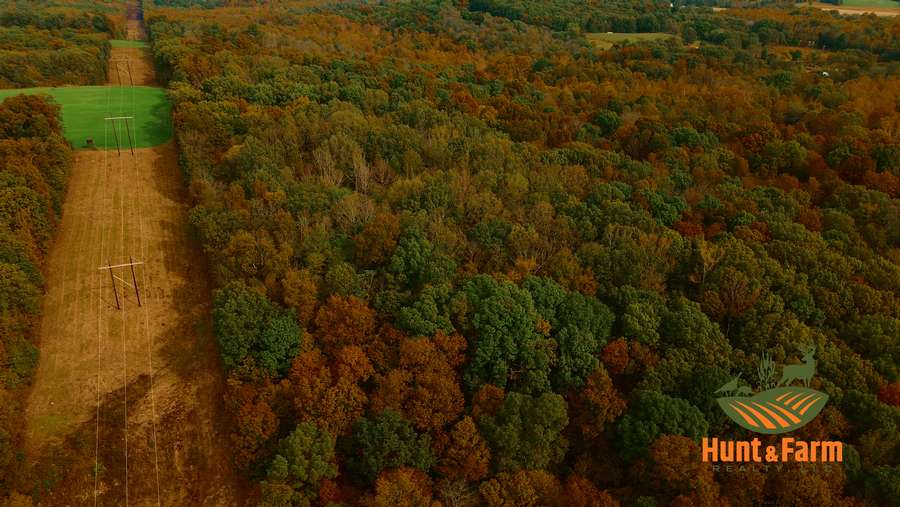 Still 2025-11-29 081237_1.26.2.jpg